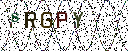 Visual Confirmation Security Code